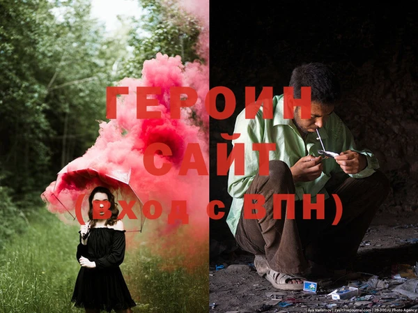 гидра Михайловка