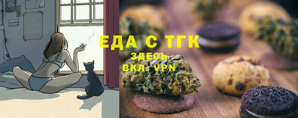 индика Михайловск