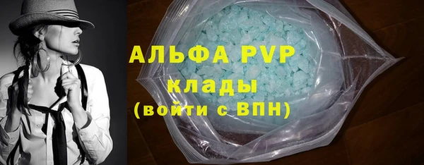 индика Михайловск
