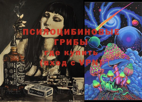 индика Михайловск