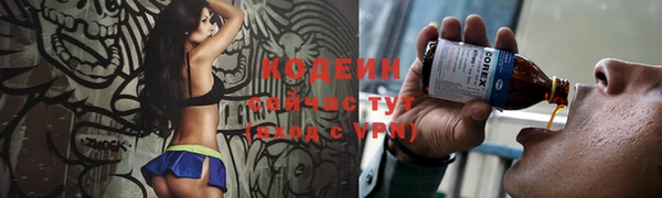 индика Михайловск