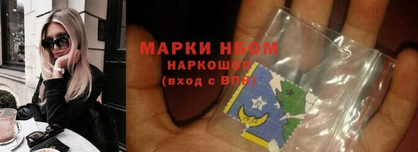 индика Михайловск
