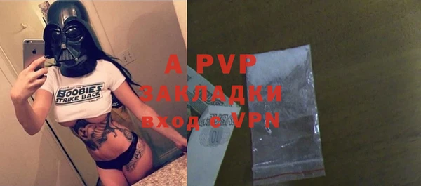 индика Михайловск