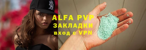 индика Михайловск