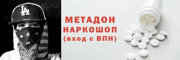 гидра Михайловка