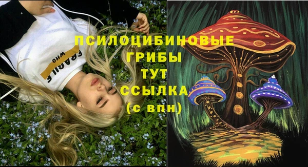 гидра Михайловка