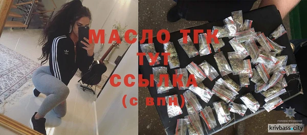 индика Михайловск