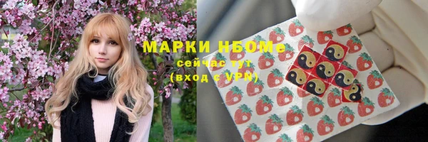 индика Михайловск