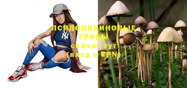 гидра Михайловка