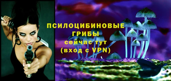 индика Михайловск