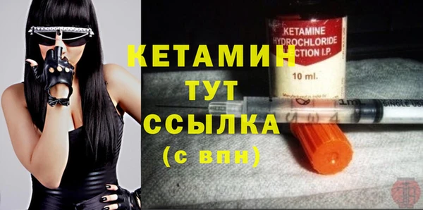 индика Михайловск