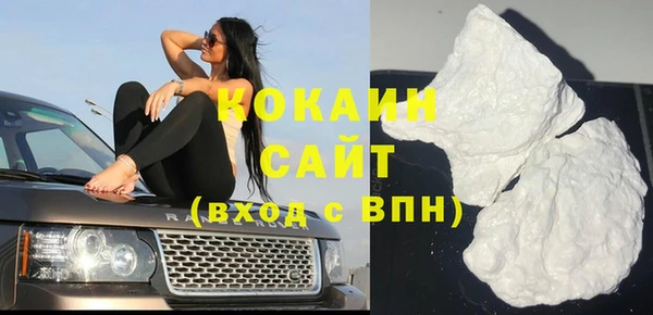 индика Михайловск