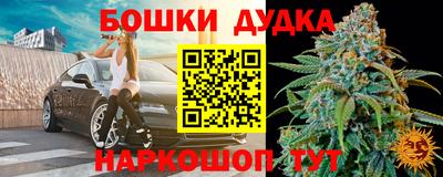 сатива Апшеронск