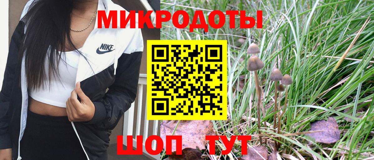 Псилоцибиновые грибы мухоморы  купить наркотики сайты  Галлюциногенные грибы Psilocybine cubensis  Набережные Челны 