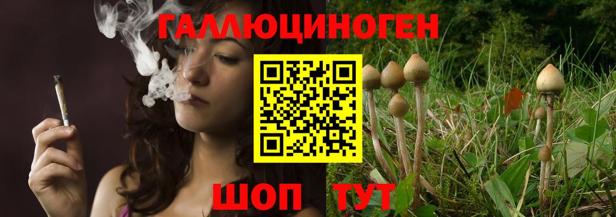 где продают   Псилоцибиновые грибы ЛСД  Вход с VPN  Набережные Челны 